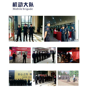 機(jī)動(dòng)大隊(duì) 